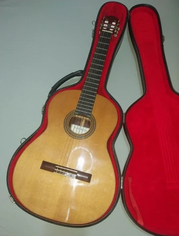 Vicente Sanchis Luthier