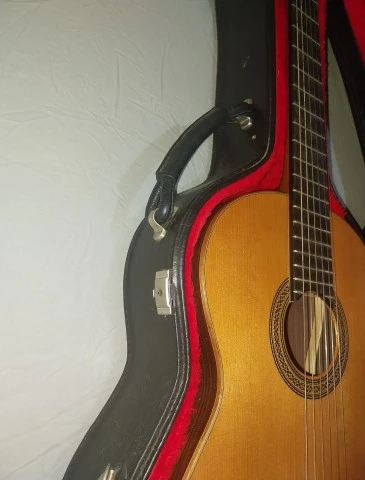 Vicente Sanchis Luthier