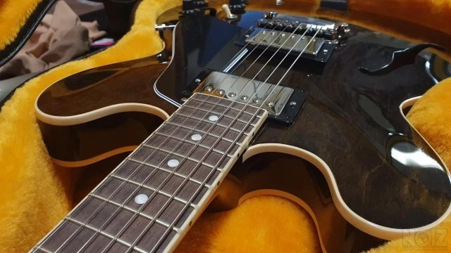 Gibson ES-335 Jim James signature