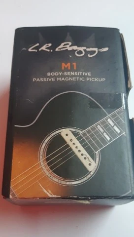 L R Bagg M1 Passive