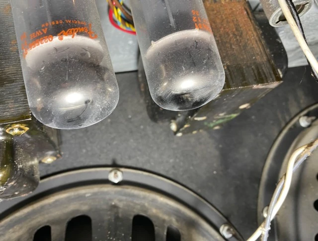 1980 Twin Reverb