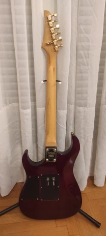 Washburn MG-74