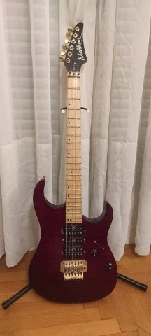 Washburn MG-74