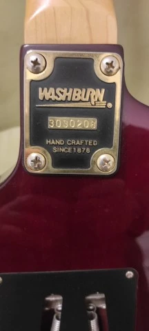 Washburn MG-74