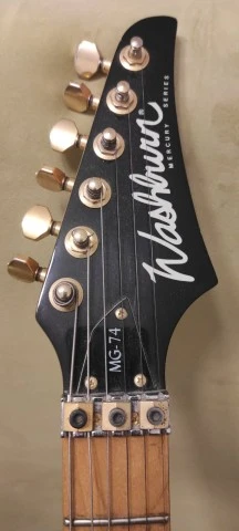 Washburn MG-74