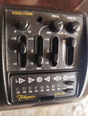 Takamine Tan16c