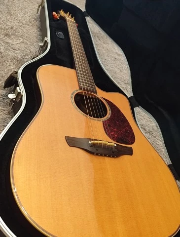 Takamine Tan16c