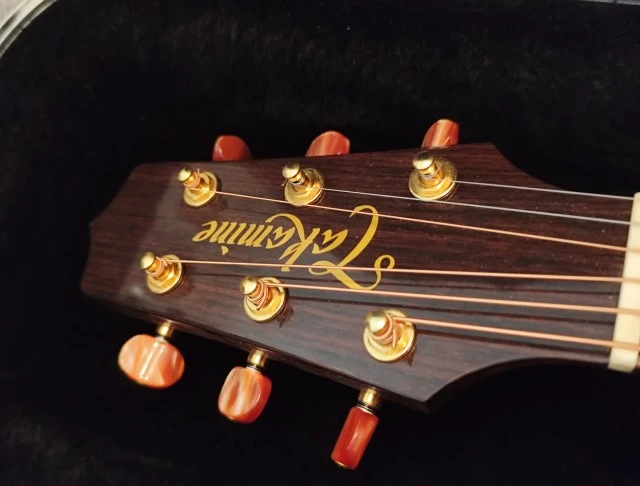 Takamine Tan16c