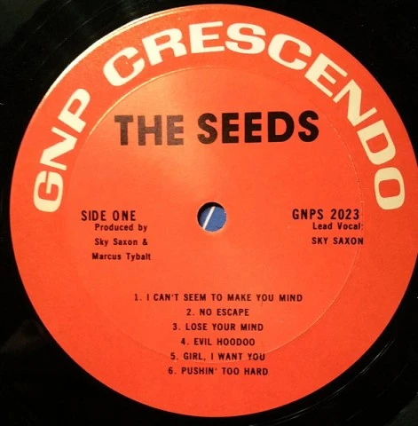 The Seeds ‎– The Seeds (LP . 1966)