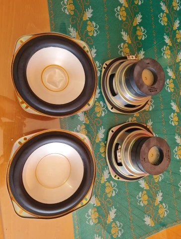 Set Μεγάφωνα Sony 6 Inches