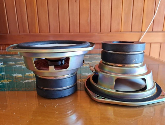 Set Μεγάφωνα Sony 6 Inches