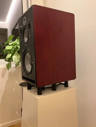 Focal Trio 6