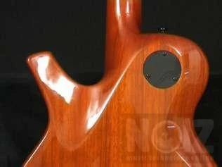 PARKER PM20 PRO seymour duncan