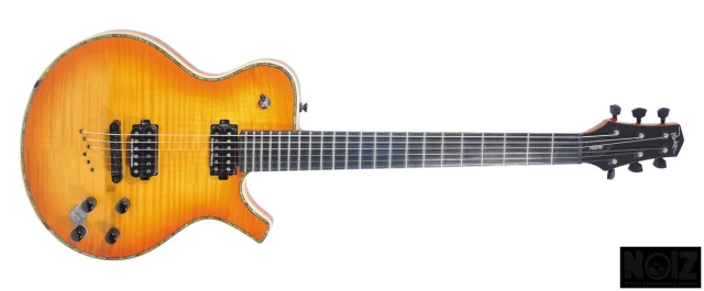 PARKER PM20 PRO seymour duncan