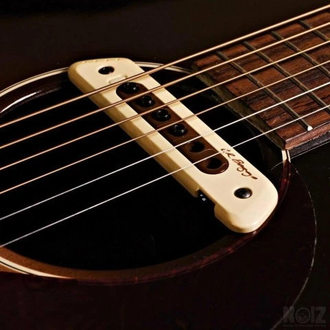 L.R. Baggs M80