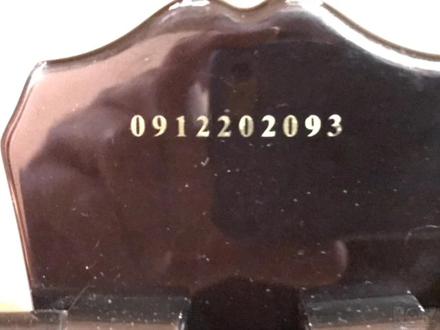 Epiphone Les Paul Special Μπάσο