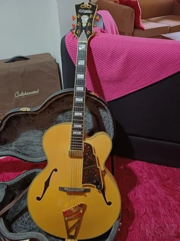 D ' Angelico EXL-1