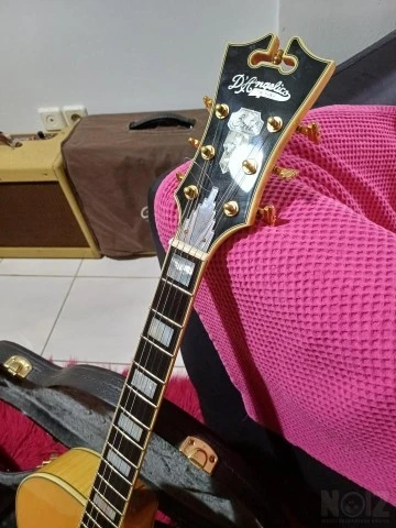 D ' Angelico EXL-1