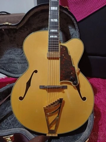 D ' Angelico EXL-1