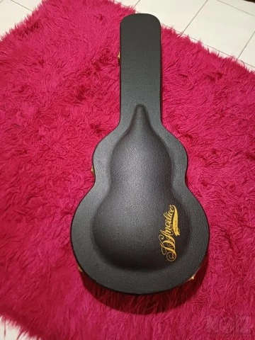 D ' Angelico EXL-1