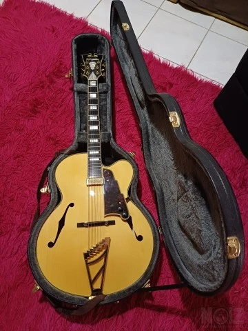 D ' Angelico EXL-1