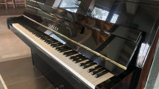 Yamaha C-198