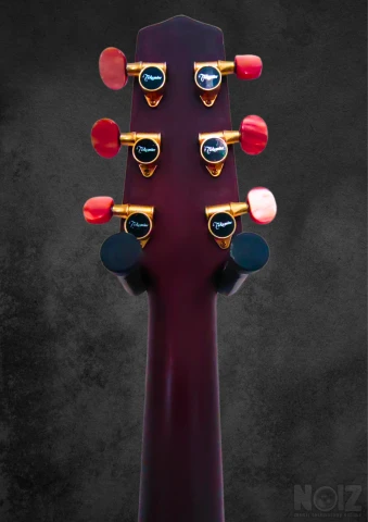 Takamine santa fe