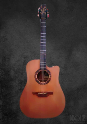 Takamine santa fe