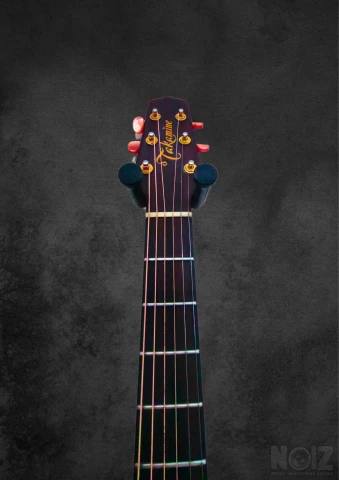 Takamine santa fe