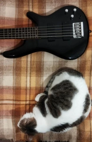 Ibanez SR305DX BK