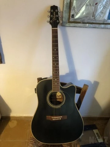 Takamine EF341SC
