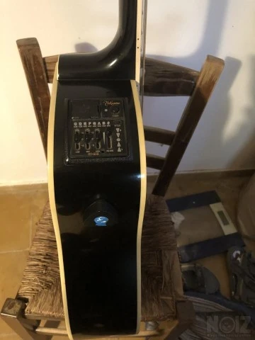 Takamine EF341SC
