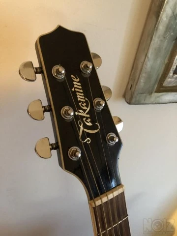 Takamine EF341SC