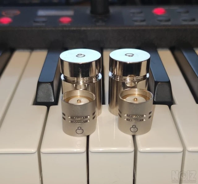 SE electronics hyper cardiod caps for NE