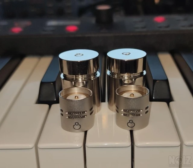 SE electronics hyper cardiod caps for NE
