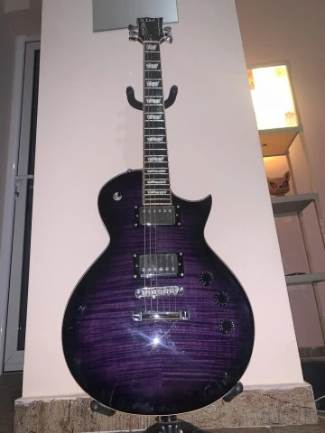 ESP LTD EC-256FM