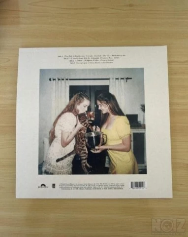 Lana Del Rey Blue Banisters LP