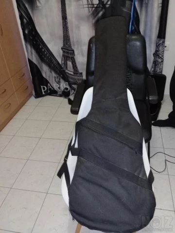 Wasburn Bass Lyo Series