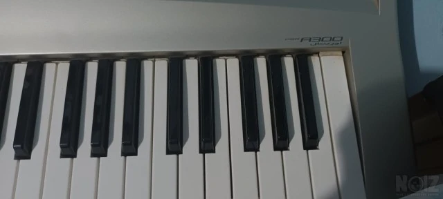 Yamaha A300 Oriental
