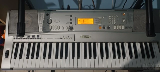 Yamaha A300 Oriental