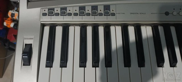 Yamaha A300 Oriental