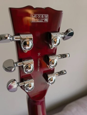 Harley Benton DC Custom II upgraded