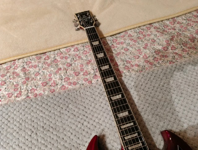 Harley Benton DC Custom II upgraded