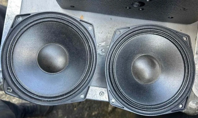 PHL AUDIO E171-16 cone driver