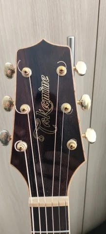 Takamine gn90ce ziricote 