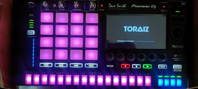 Pioneer Toraiz SP-16 Professional Sample