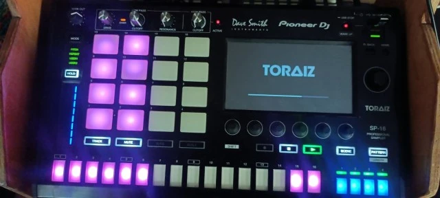 Pioneer Toraiz SP-16 Professional Sample