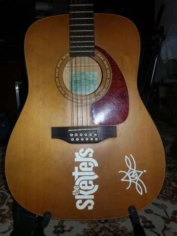 Simon & Patrick 12 String