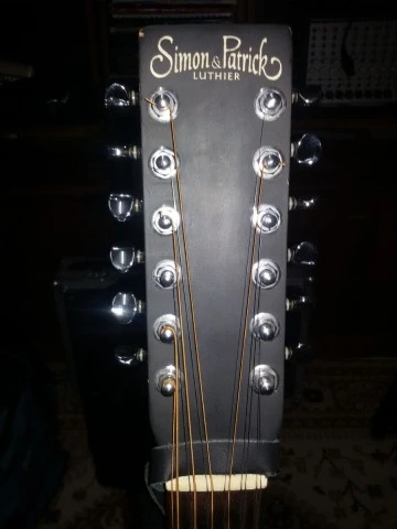Simon &amp; Patrick 12 String
