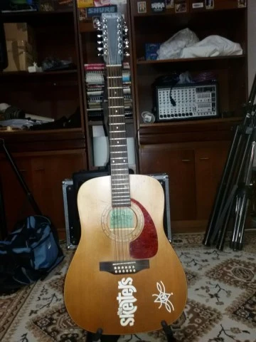 Simon &amp; Patrick 12 String